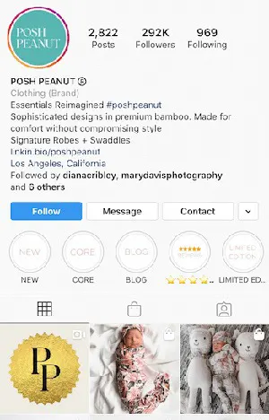 بیوگرافی اینستاگرام شرکت پوشاک Posh Peanut