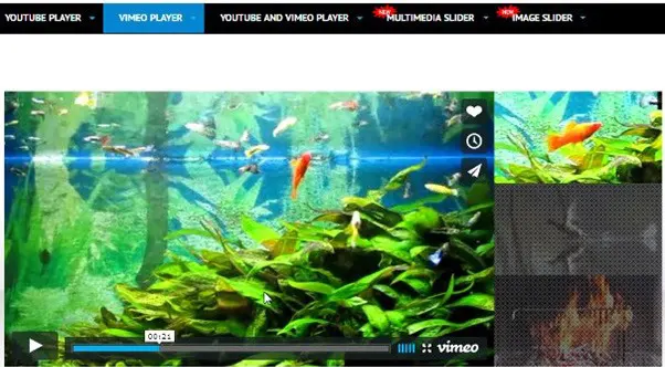 YouTube Vimeo Video Player & Slider