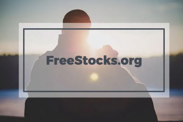 Freestocks.org