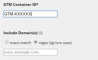 Tag Manager Injector