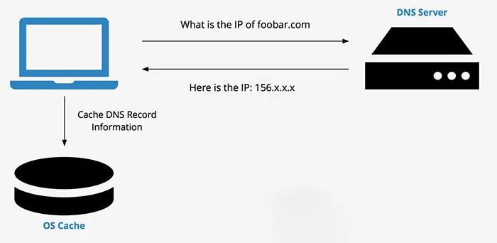 DNS cachingسطح سیستم‌عامل (OS)