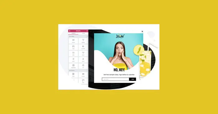 Elementor pro