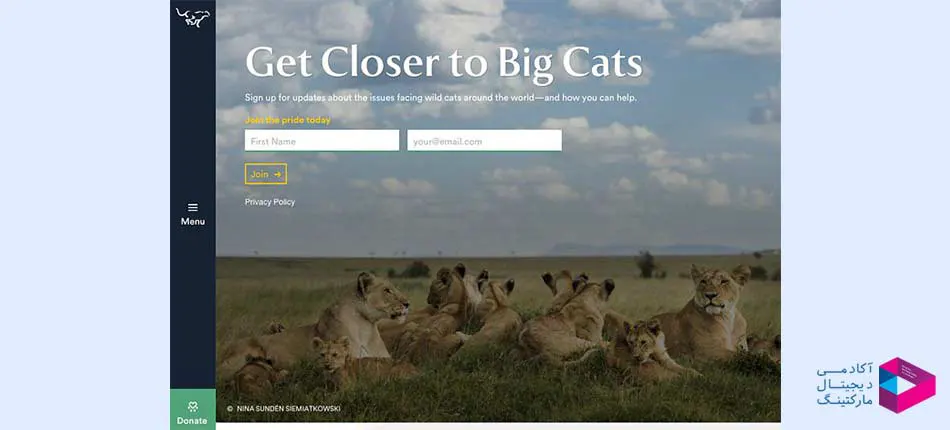 وب سایت PANTHERA