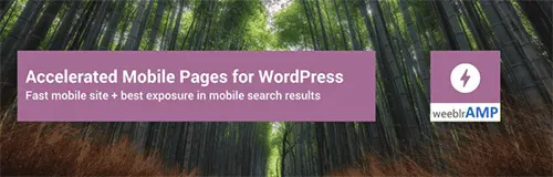 نحوه پیاده سازی AMP برای بهبود محتوا و سئو